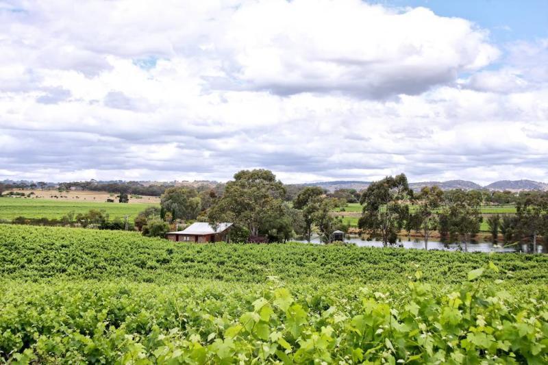 Stonewell Cottages & Vineyards Retreat Barossa Valley Экстерьер фото